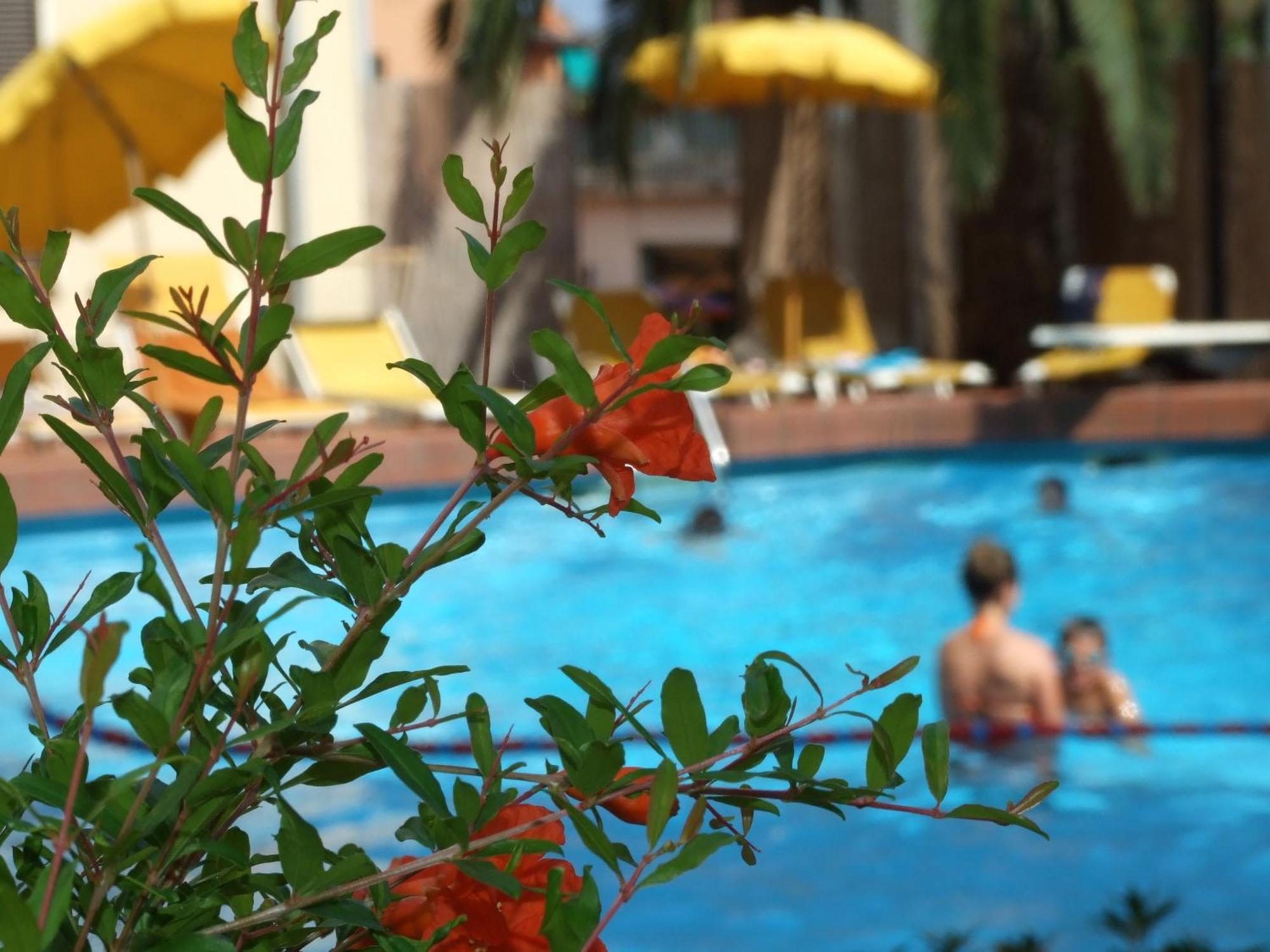 Coccodrillo Hotel & Apartments Варацце Экстерьер фото